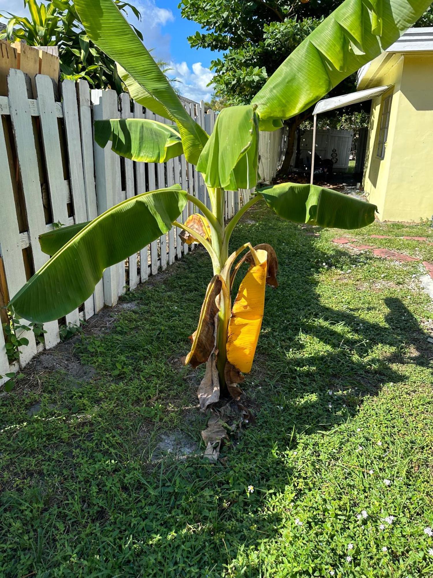 3 Bedroom House Fenced Backyard Private Patio Areas Grill Firepit Plenty Parking! Quick Access 10 Min To Beach Airport Delray West Palm 레이크워쓰 외부 사진